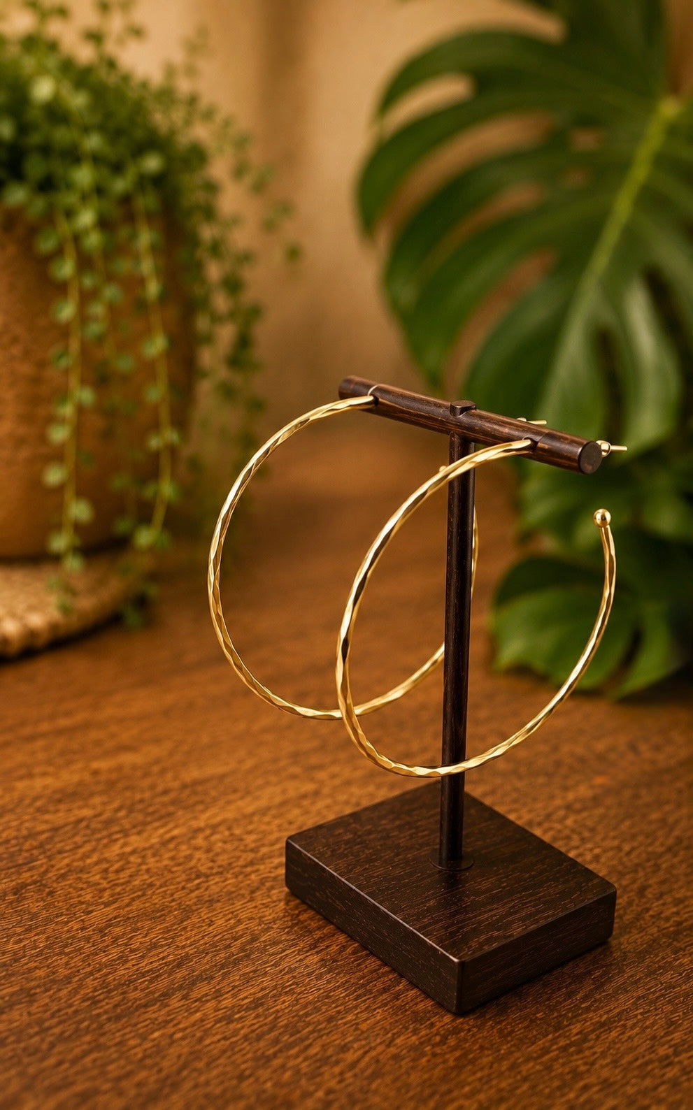 brass hoop earrings on a wooden stand with a plant in the background